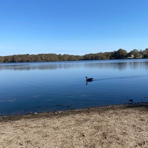 Meet your Posher, Joliene